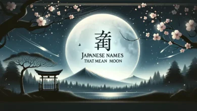 japanese names that mean moon