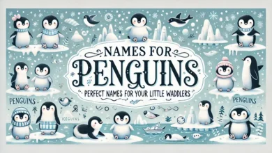 names for penguins