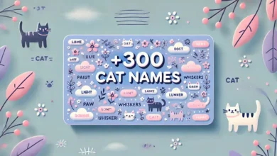 cat names