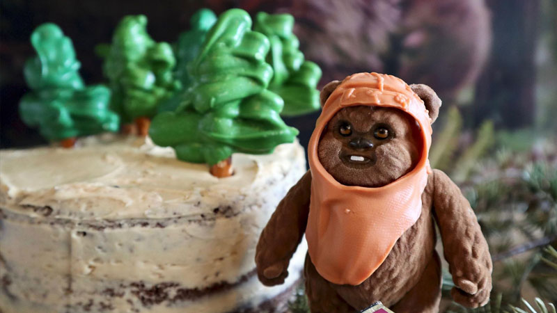 Endor Forest Cake