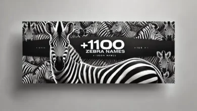 zebra names