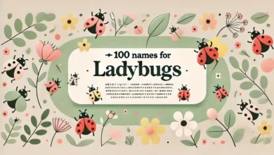 names for ladybugs