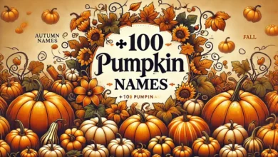 pumpkin names