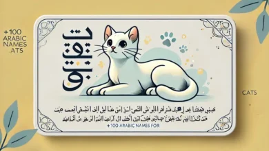 arabic names for cats